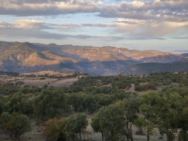 Turkey