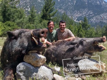 Turkey